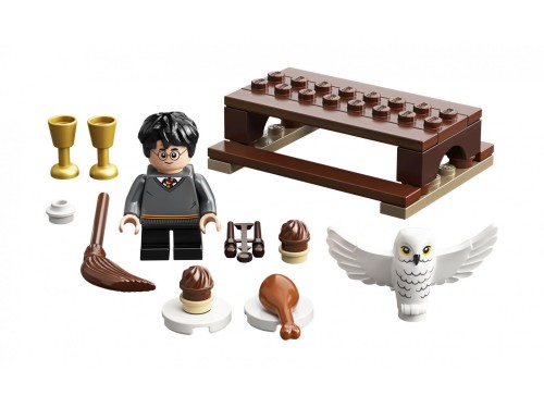 LEGO Harry Potter 30420 - Harry Potter and Hedwig Owl Delivery