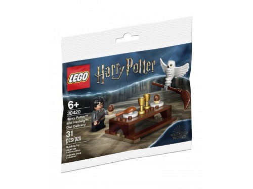 LEGO Harry Potter 30420 - Harry Potter and Hedwig Owl Delivery